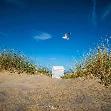 Tatil Evi Frische Brise